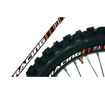 Déco de jante BLACKBIRD universelle