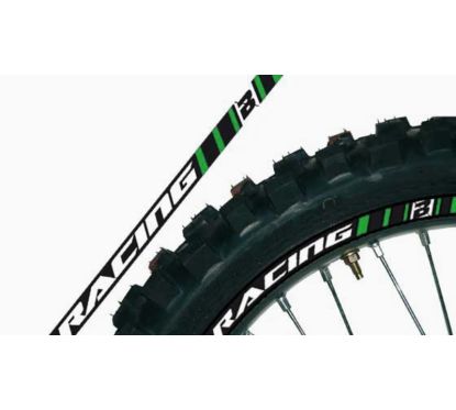 Déco de jante BLACKBIRD verte universelle