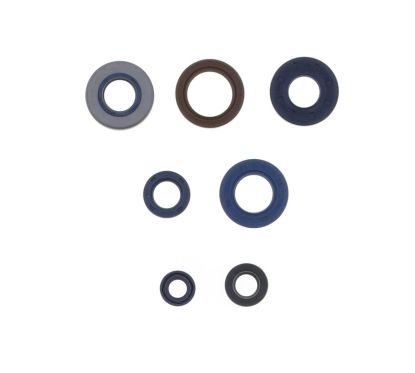 Jeu de joints spi CENTAURO