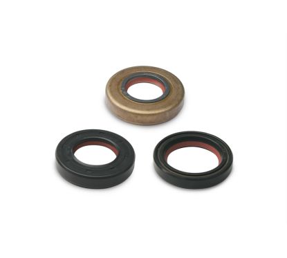 Joint spi MALOSSI pour révision moteur 50cc