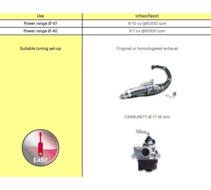 Kit cylindre fonte MALOSSI ø40