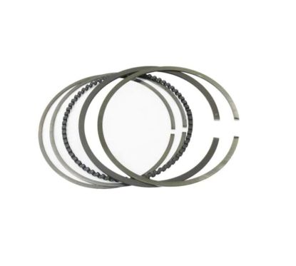 Segment WÖSSNER Ø96,00mm