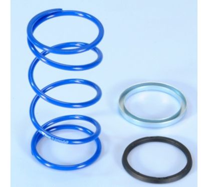 Spring Polini EVO Slider D.3,8 Minarelli 243.104