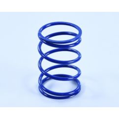 Ressort d'embrayage POLINI