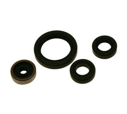 Jeu de joints spi de vilebrequin CENTAURO