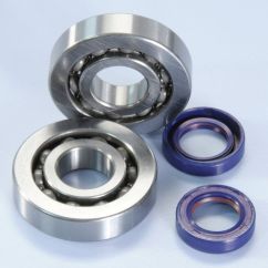 POLINI Crankshaft Bearing Kit