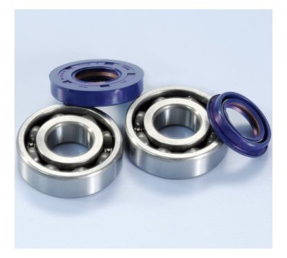 POLINI Crankshaft Bearings And Seals Kit Minarelli Engine