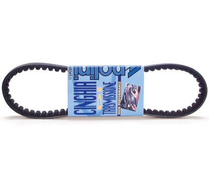 Courroie de transmission POLINI standard