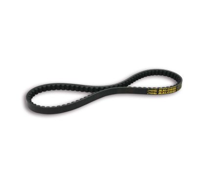 Courroie de transmission MALOSSI X Special