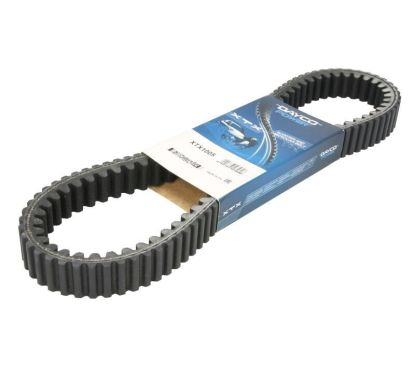 Courroie dentée intérieur et extérieur DAYCO Renforcé