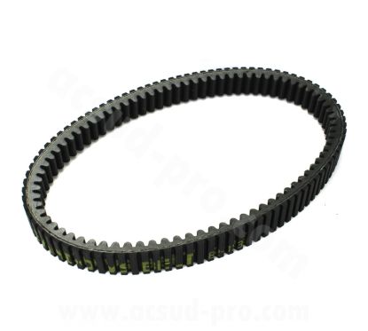 Courroie de transmission MITSUBOSHI T-Max 560