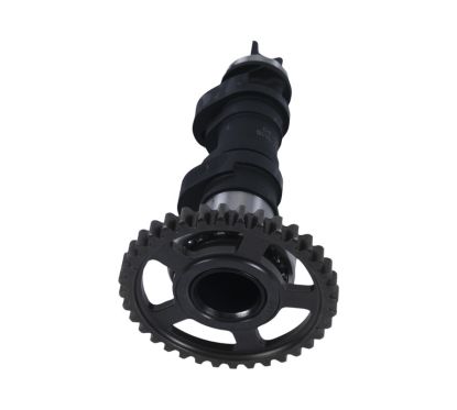 Arbre à cames simple HOT CAMS - niveau 2