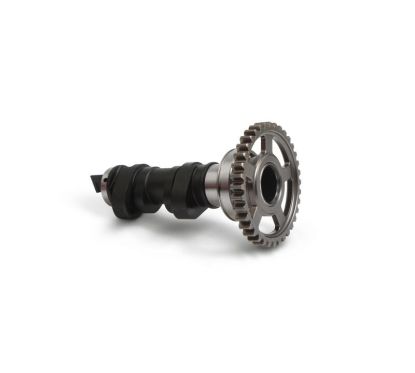 Arbre à cames simple HOT CAMS - niveau 1