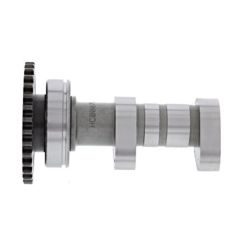 Arbre à cames admission HOT CAMS - Niveau 2 Yamaha WR450F