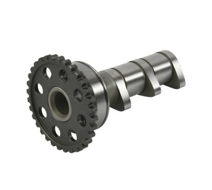 Arbre à cames admission HOT CAMS - Niveau 1 Yamaha YFZ450