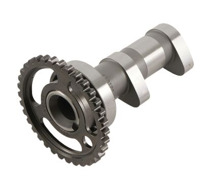 Arbre à cames admission HOT CAMS - Niveau 1 Suzuki LT-R450
