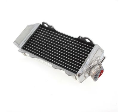 Radiateur TECNIUM soude/standard