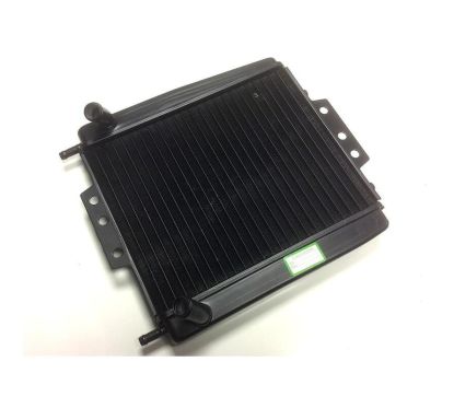 Radiateur BIHR - Piaggio MP3 125 - 500