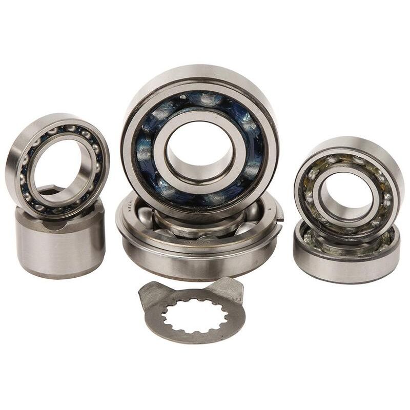 Kit roulements boîte de vitesse HOT RODS Yamaha YFM 660 Raptor