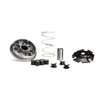 Variateur MALOSSI Multivar 2000