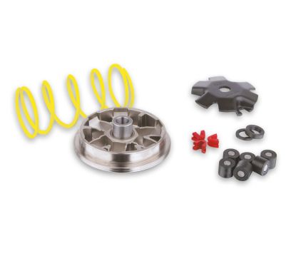 Variateur MALOSSI Multivar