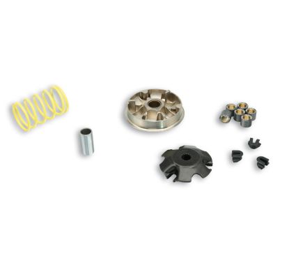 Variateur MALOSSI Multivar 2000