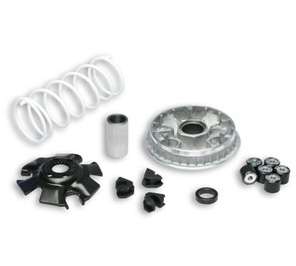 Variateur MALOSSI Multivar 2000 - Suzuki