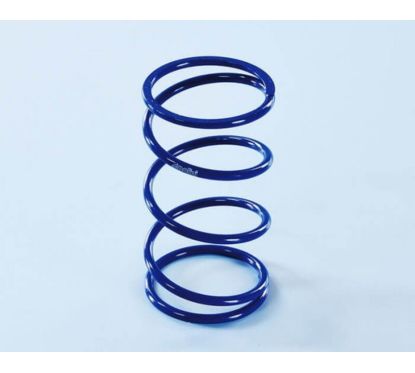 Ressorts d'embrayage POLINI