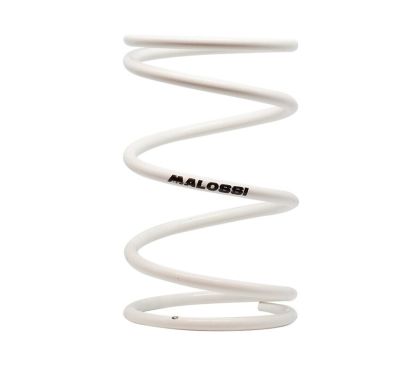 Ressort de poussée Malossi 9,5 K