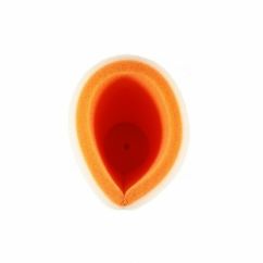 Filtre à air TWIN AIR - 152613