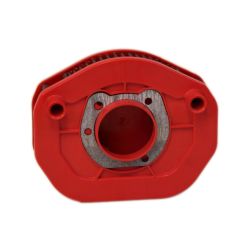 Filtre à air BMC - FM01066