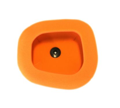 Filtre à air TWIN AIR - 151124