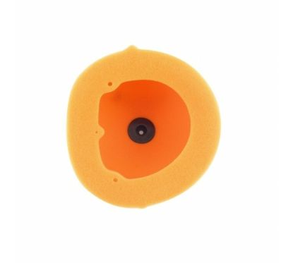 Filtre à air TWIN AIR - 150102