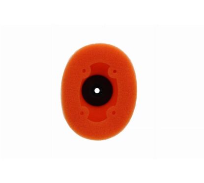 Filtre à air TWIN AIR - 154160