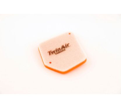 Filtre à air TWIN AIR - 152380