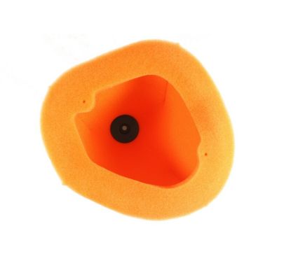 Filtre à air TWIN AIR - 151121