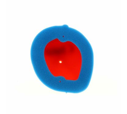 Filtre à air TECNIUM - 0217