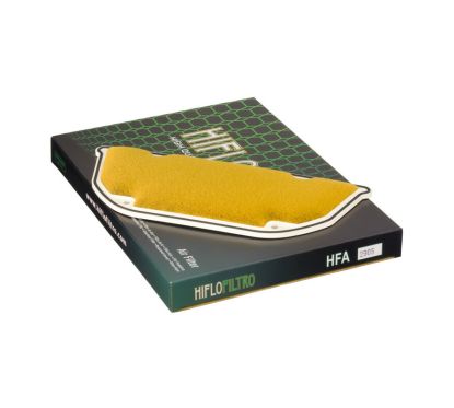 Filtre à air HIFLOFILTRO - HFA2905