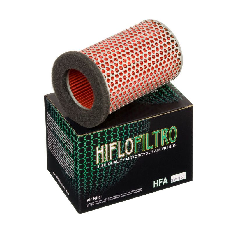 Filtre à air HIFLOFILTRO - HFA1613