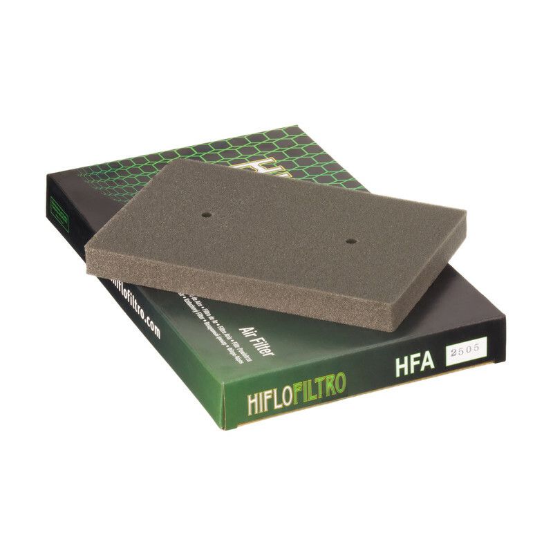 Filtre à air HIFLOFILTRO - HFA2505