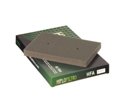 Filtre à air HIFLOFILTRO - HFA2505
