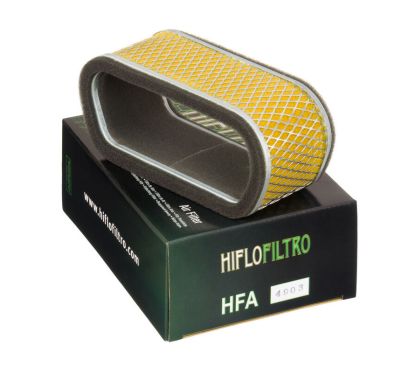 Filtre à air HIFLOFILTRO - HFA4903
