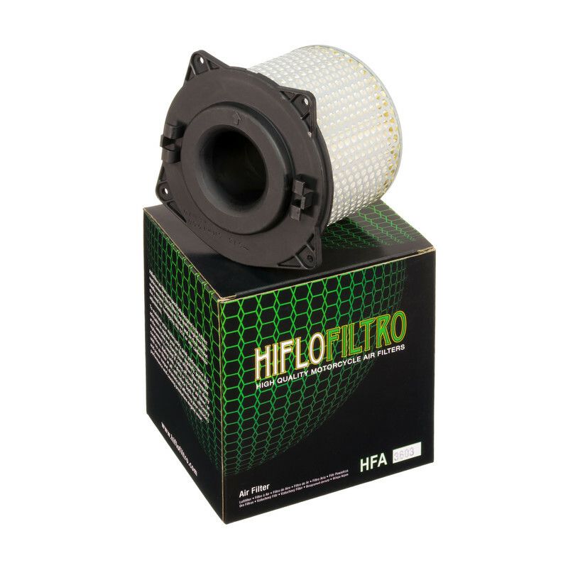 Filtre à air HIFLOFILTRO - HFA3603