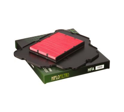 Filtre à air HIFLOFILTRO - HFA1609