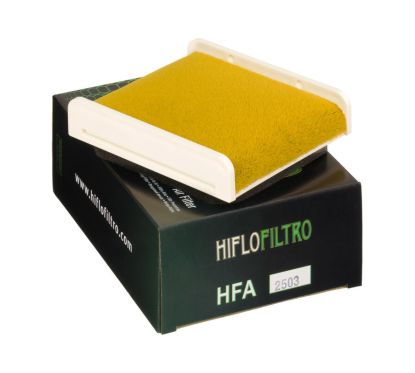 Filtre à air HIFLOFILTRO - HFA2503