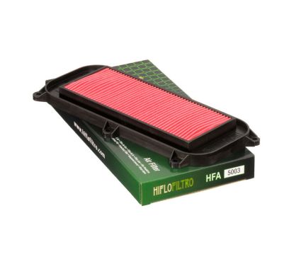 Filtre à air HIFLOFILTRO - HFA5003