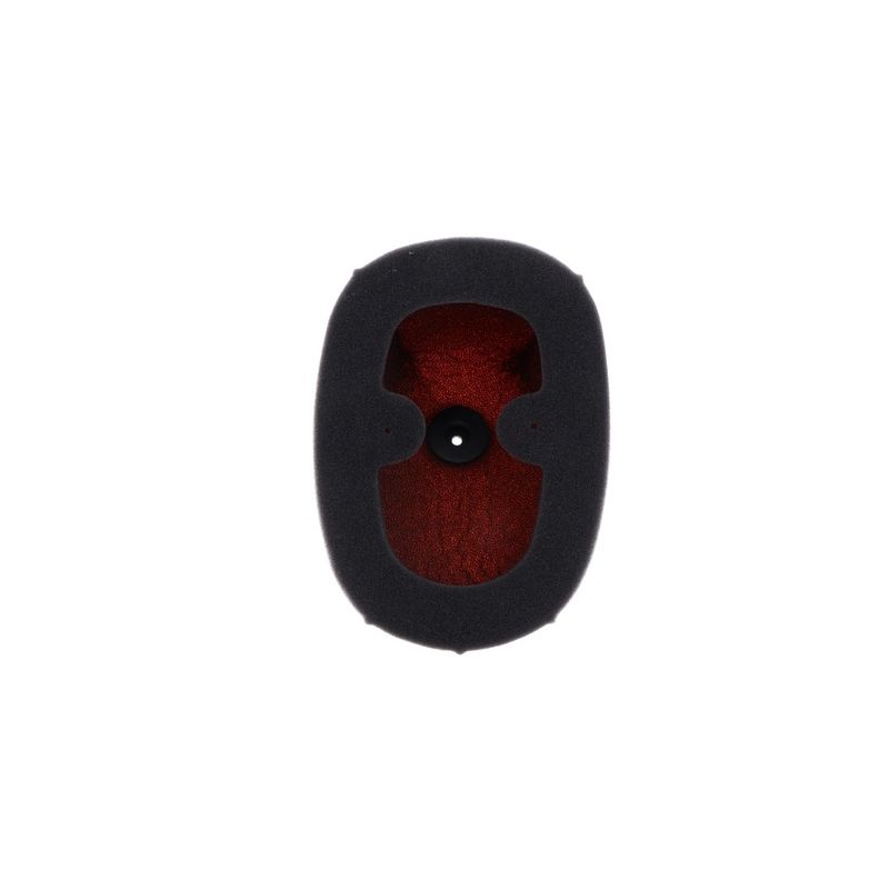 Filtre à air TWIN AIR kit Powerflow 10000050 - 150229FR Honda CRF250R