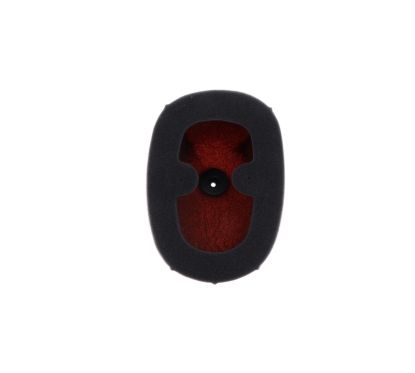 Filtre à air TWIN AIR kit Powerflow 10000050 - 150229FR Honda CRF250R