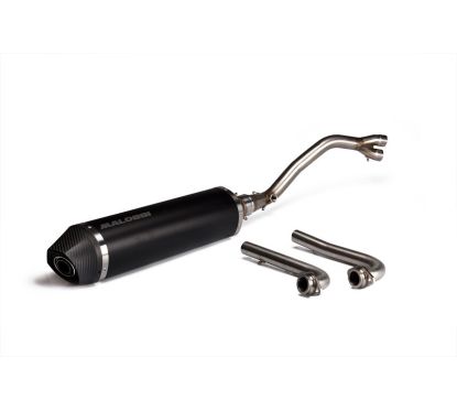 Pot d'échappement MALOSSI Wild Lion