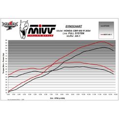 Système d'échappement complet MIVV AK-1
